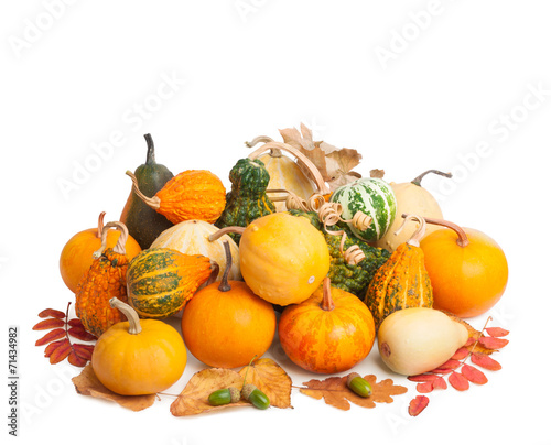 Pile of pumpkins with autumn foliage isolated on white backgroun