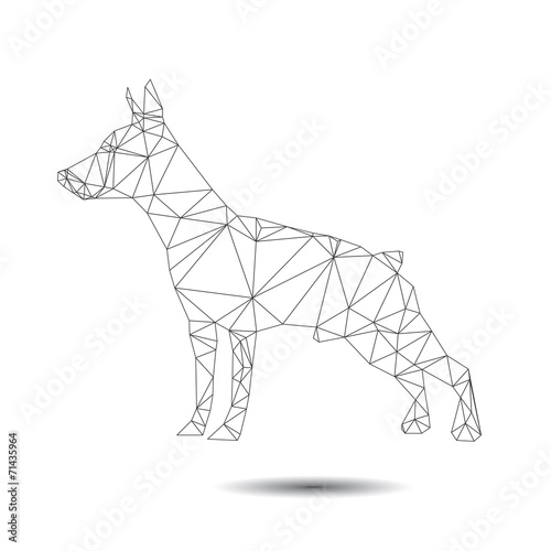 Dog abstract isolated on a white backgrounds.