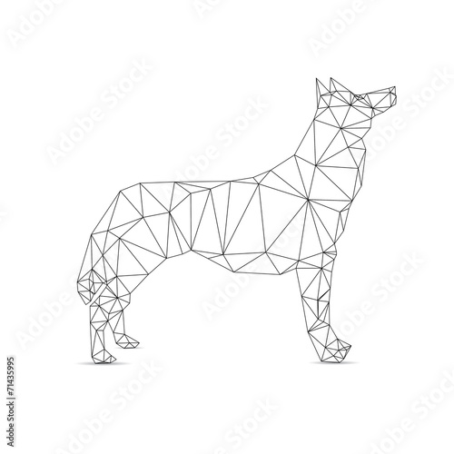 Photos Dog abstract isolated on a white backgrounds.