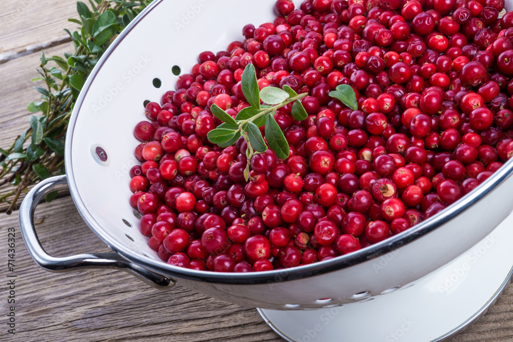 cranberries in a colander cranberries in a colander