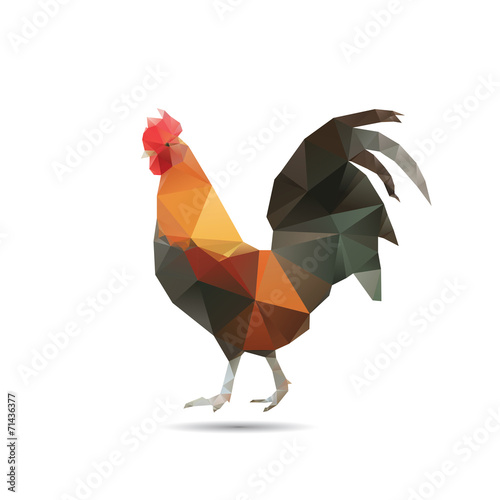 Abstract cock isolated.