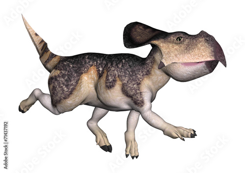 Dinosaur Protoceratops photo