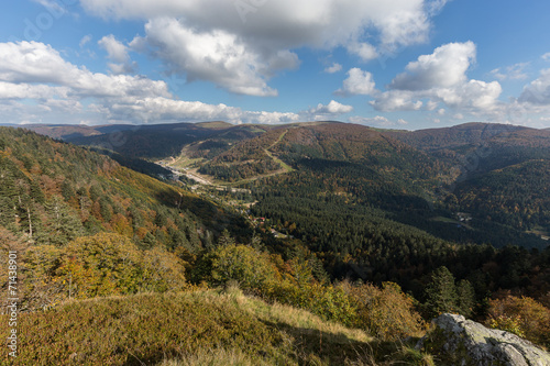 l'automne en forêt vosgienne