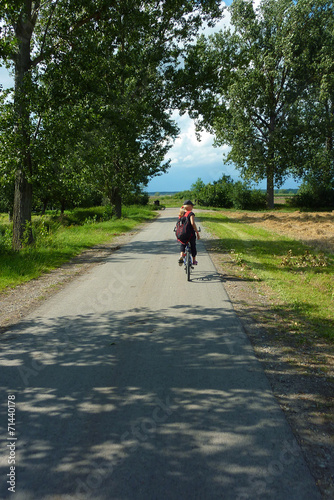 Wallpaper Mural Radtour Torontodigital.ca