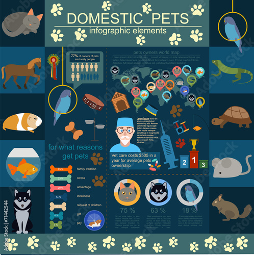 Domestic pets infographic elements, helthcare, vet