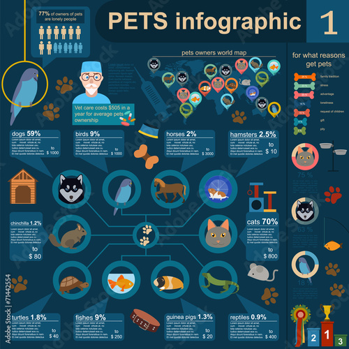 Domestic pets infographic elements, helthcare, vet