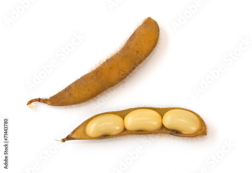 Boiled soybean isolated on the white background