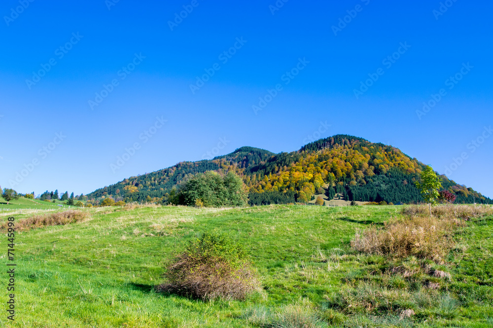 Autumnal forest on the hill