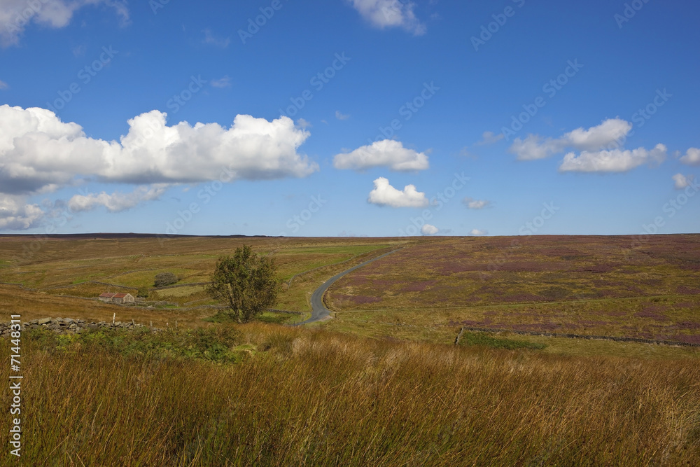 upland landscape