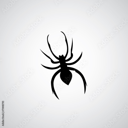 spider symbol © tackgalichstudio