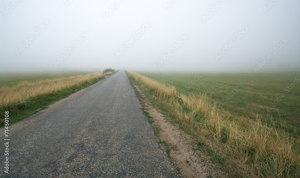 Road in fog