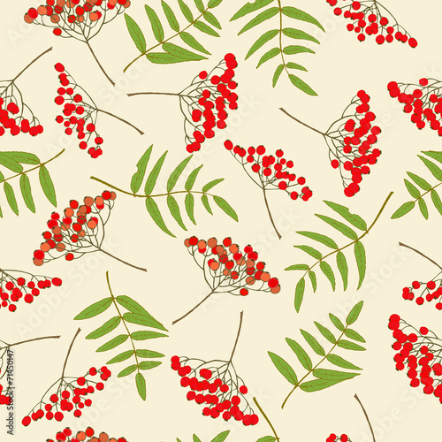 Red rowan berry seamless pattern