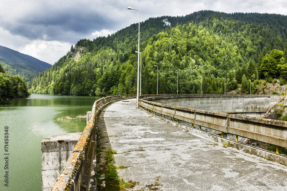 Fototapeta premium Bridge over lake
