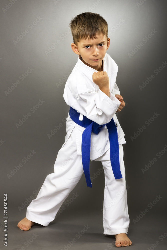 Portrait of a karate kid in kimono ready to fight isolated Stock Photo |  Adobe Stock