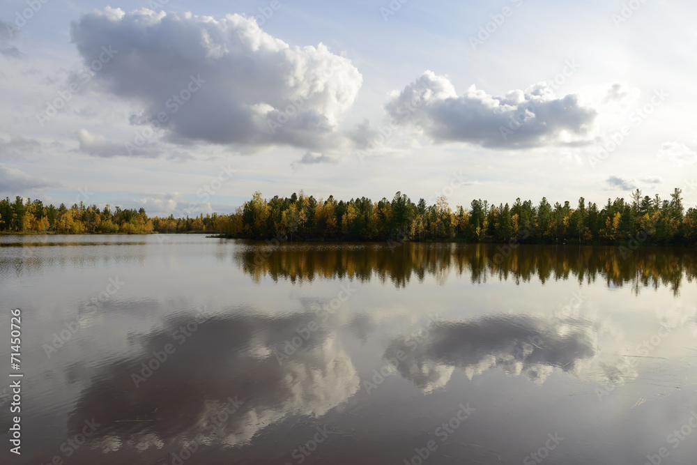 scenic autumn landscape of river and trees in northern Russia scenic autumn landscape of river and trees in northern Russia