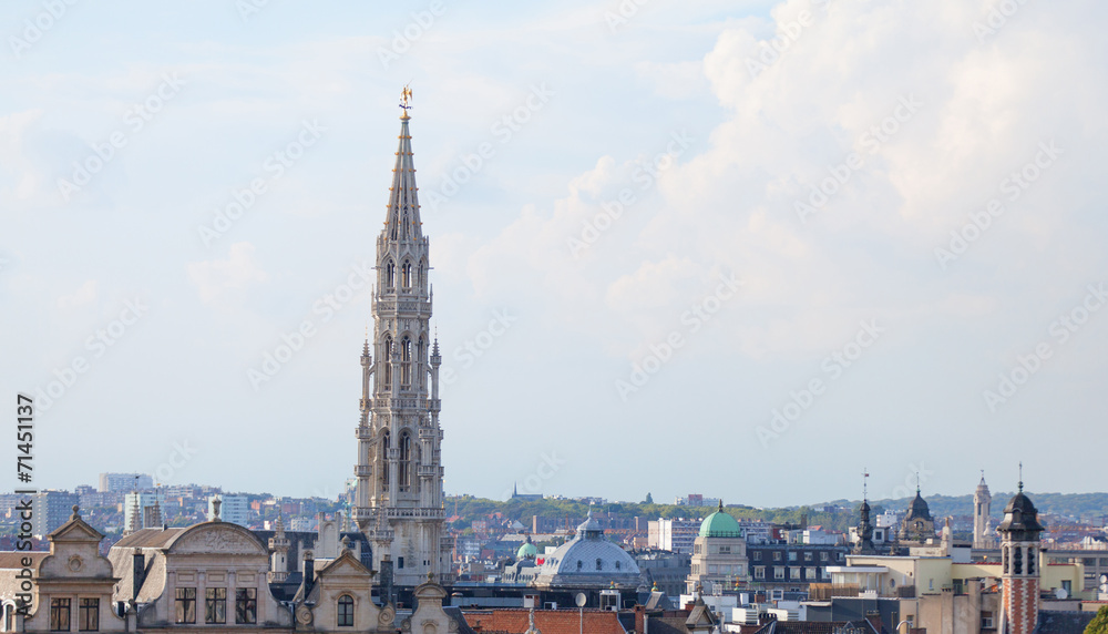 Brussels roofs