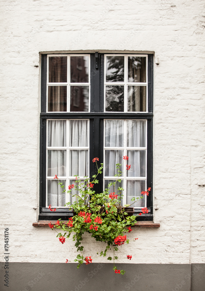 Window with garden in Brugge
