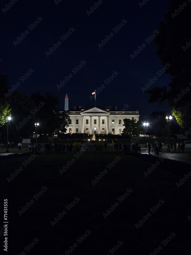 white house by night