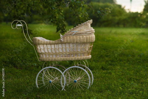 Amazing lace pram in the garden