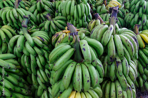 green bananas group at outdoors