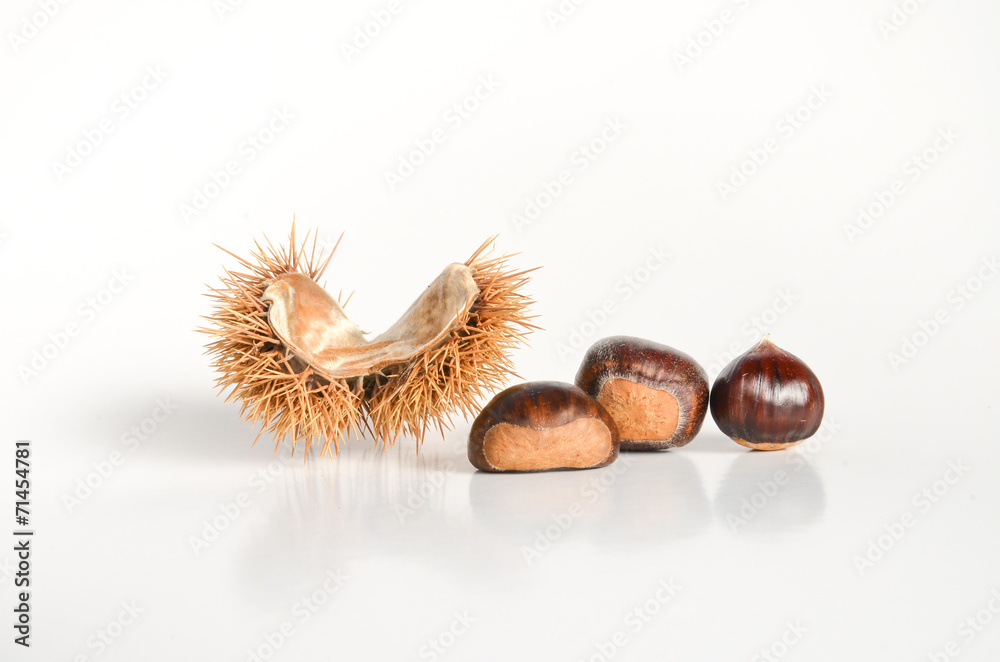 Maroni mit Hülle StockFoto Adobe Stock