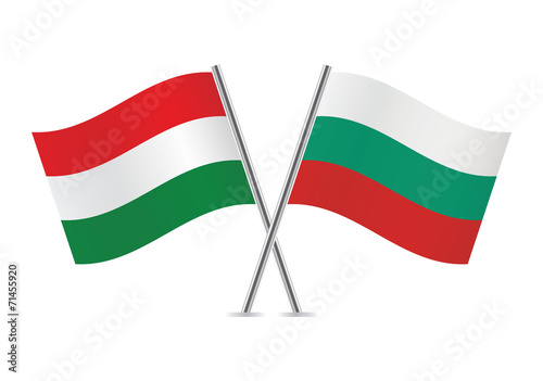 Hungarian and Bulgarian flags. Vector illustration. Free Download Hungarian and Bulgarian flags. Vector illustration. - GFXLoad