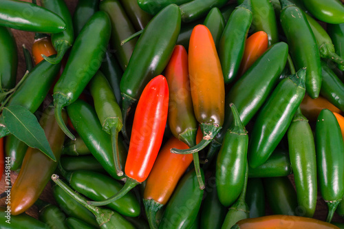 close up jalapeno pepper
