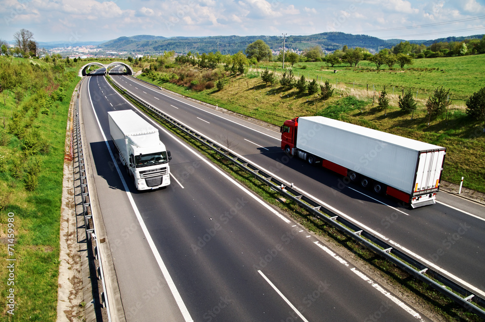 Corridor highway with the transition for animals, two trucks