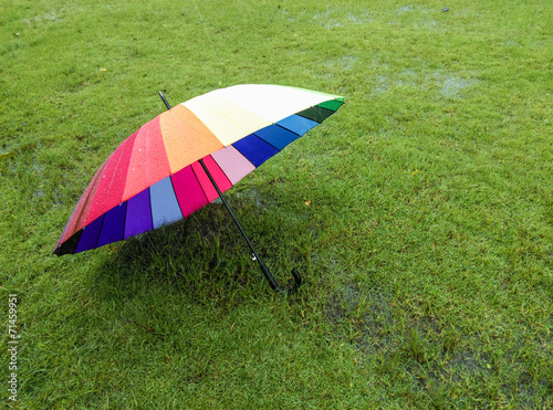 Colorful umbrella on green grass background
