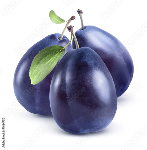 Three blue plums group isolated on white background