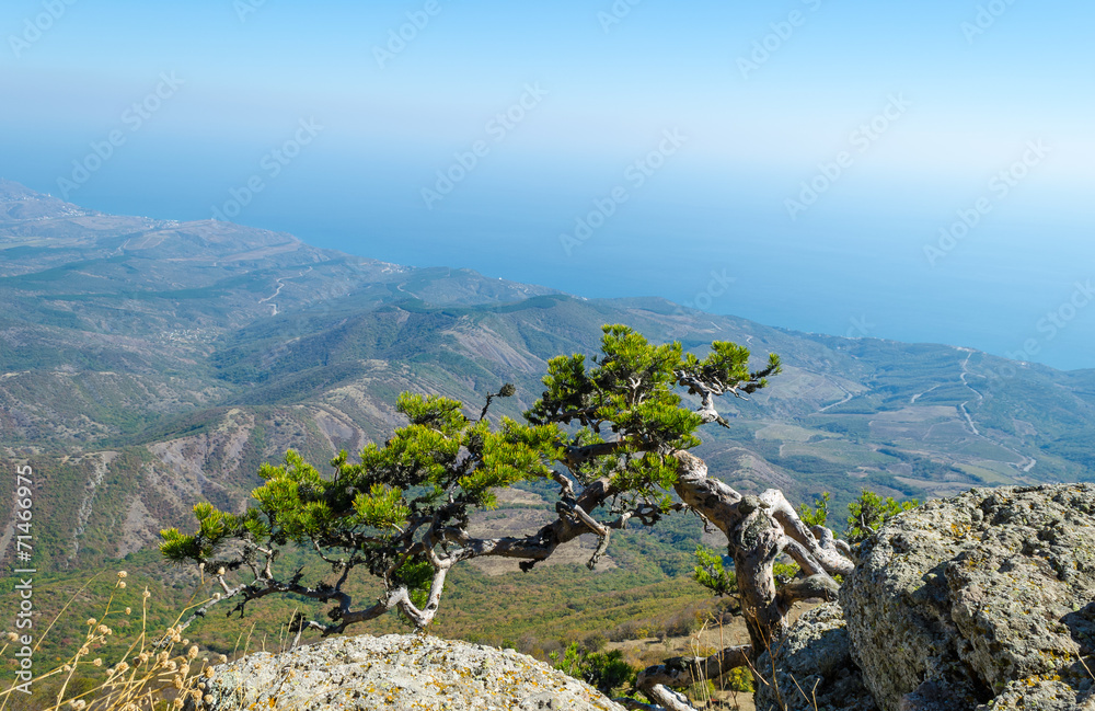 Demerji mountain in Crimea near Alushta