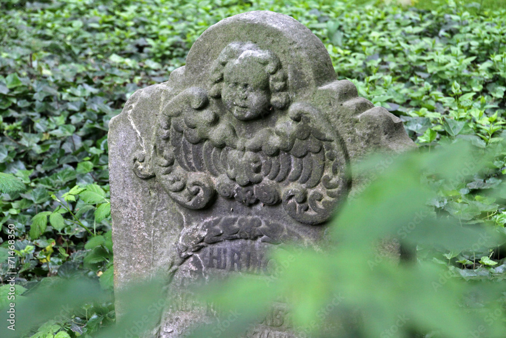 Johannisfriedhof in Lemgo