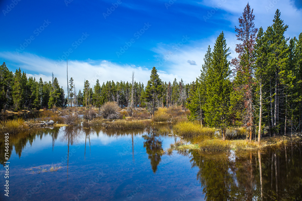 Fototapeta premium Yellowstone National Park