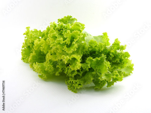 fresh lettuce on white background