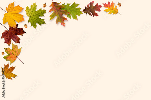 A frame made with autumn leaves isolated on beige background