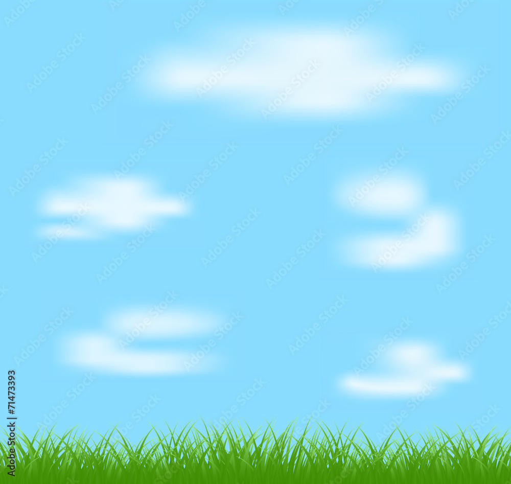 Natural green grass and blue background