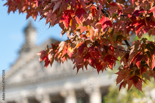 Photography Herbst in Berlin