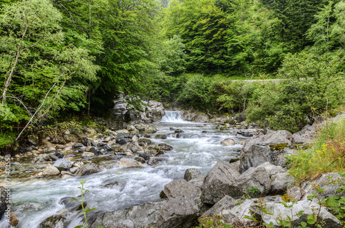 Waterfall In The Forest