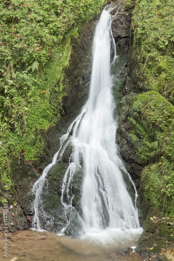 Lotenbachklamm