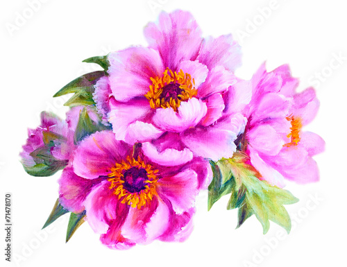 Peonies isolated on white, oil painting © Valenty