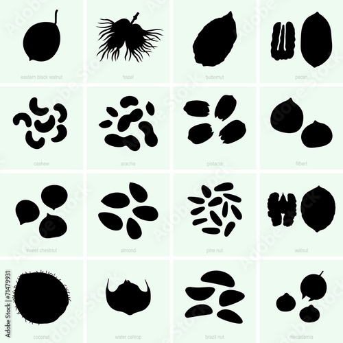 Foto Nuts