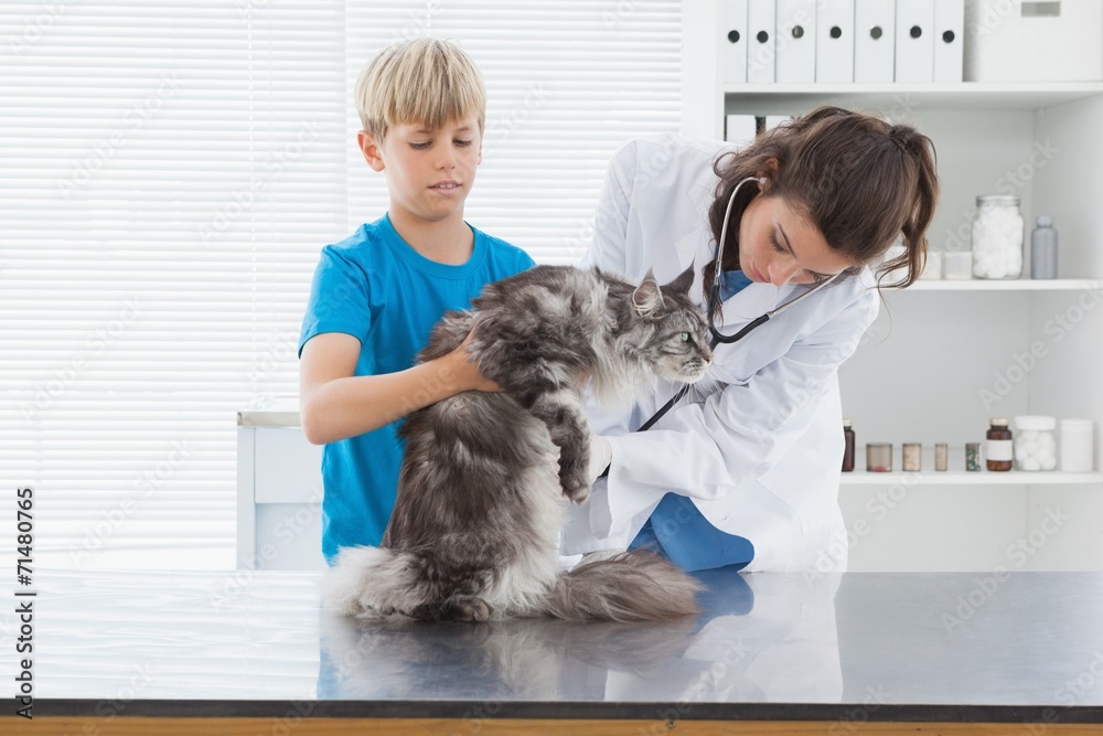 Vet examining a cat with its owner