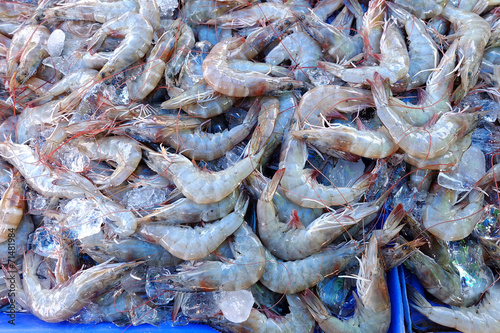 raw shrimps background