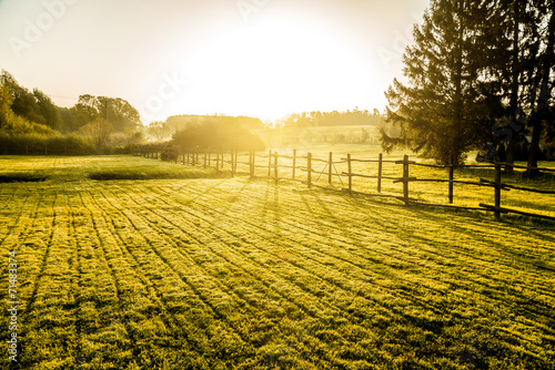Sunrise over misty grassland    