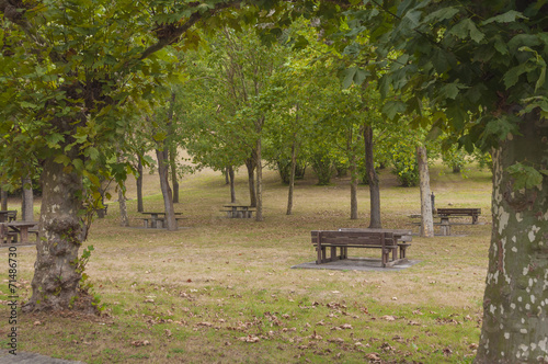 Picnic area. Trees, tables and barbacues in the park