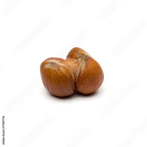 walnut on the white background