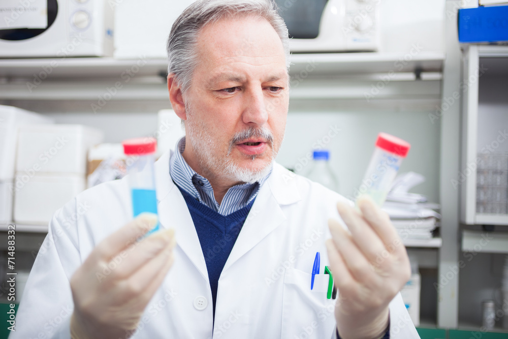 Scientist at work in a laboratory Scientist at work in a laboratory