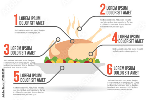 Roasted turkey infographic, vector illustration