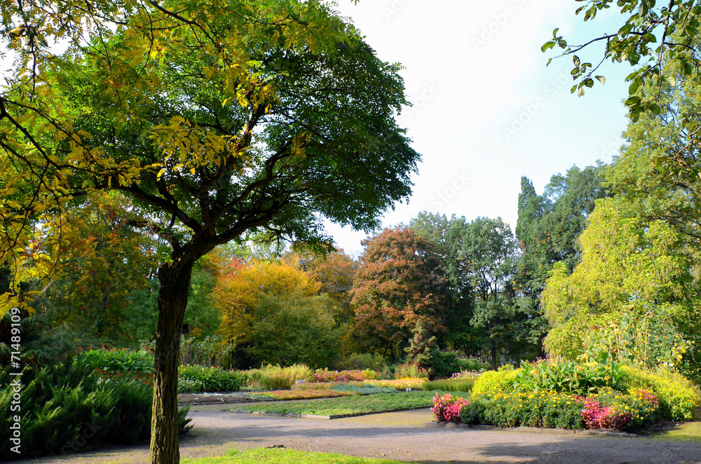 Naklejka premium Ogród botaniczny