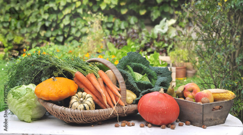 légumes posés sur table dans jardin